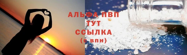 молекула духа Надым