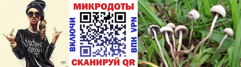 Псилоцибиновые грибы ЛСД  где можно купить   Аксай 