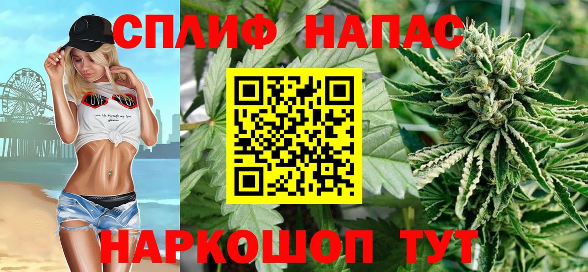 Конопля планчик  Каннабис индика  Аксай  Вход с VPN  Конопля гибрид 
